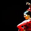 Gran Galà Flamenco @ Auditorium Parco della Musica, Roma